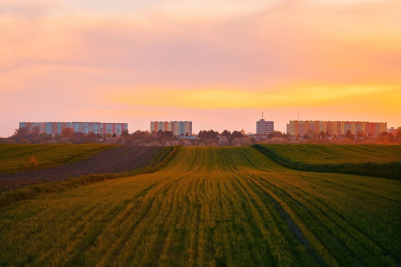 Urban Agriculture